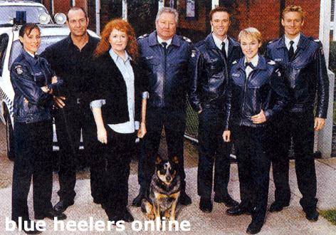 blue heelers online